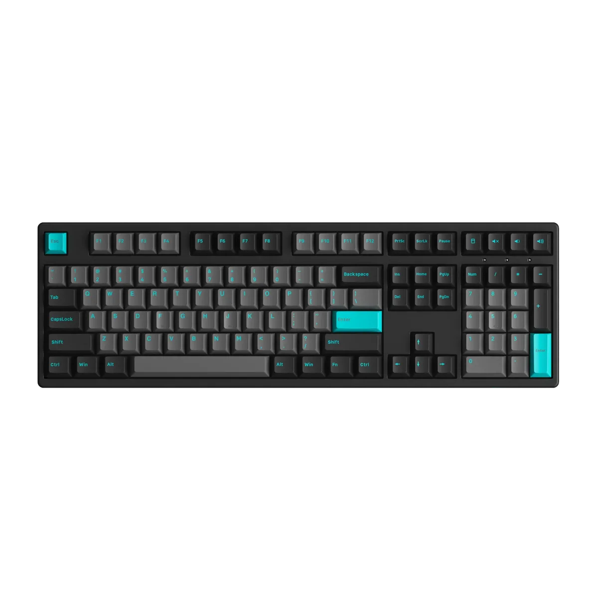 Black & Cyan 3108 Plus de AKKO – jaquette