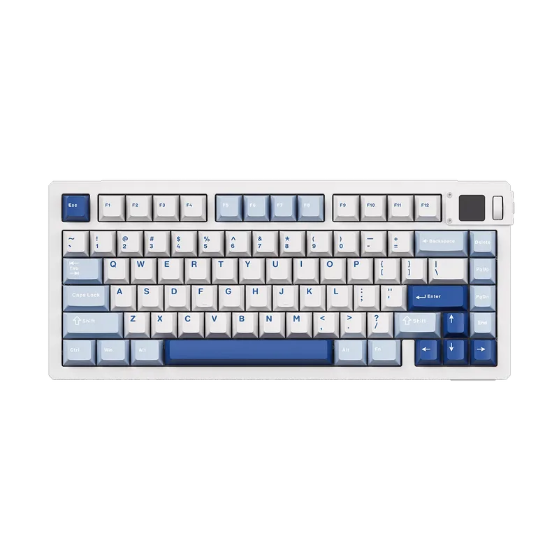 MOD 007 V5 HE Magnetic Keyboard de AKKO – jaquette