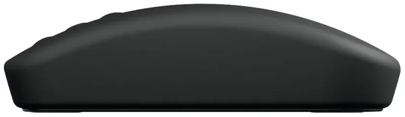 Active Key Medical AK-PMH3 - mouse - 3-button scroll - 2.4 GHz - black - Muis - Optisch - 5 knoppen by Cherry, Black – cover