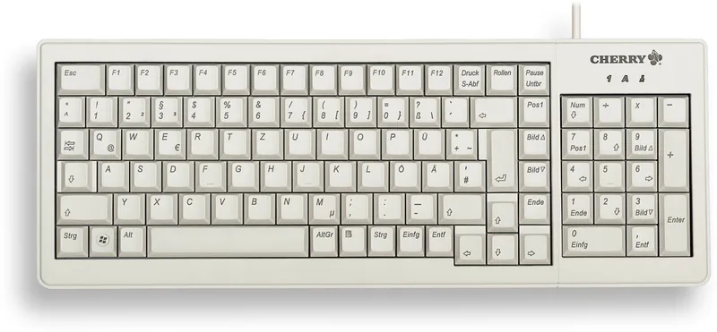 ML5200 - Toetsenbord - PS/2, USB - VS - lichtgrijs van Cherry, Grijs – cover
