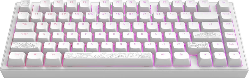 ALU Terra Nostra - Mechanisch Gaming Toetsenbord ANSI (ENG) van Dark Project, Wit – cover