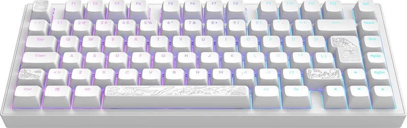 ALU Terra Nostra - Mechanisch Gaming Toetsenbord ISO van Dark Project, Wit, DE – cover