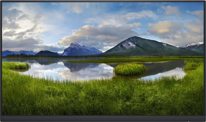 Monitor Dell P2422HE IPS LED 23,8" LCD (Zonder standaard) de Dell – jaquette