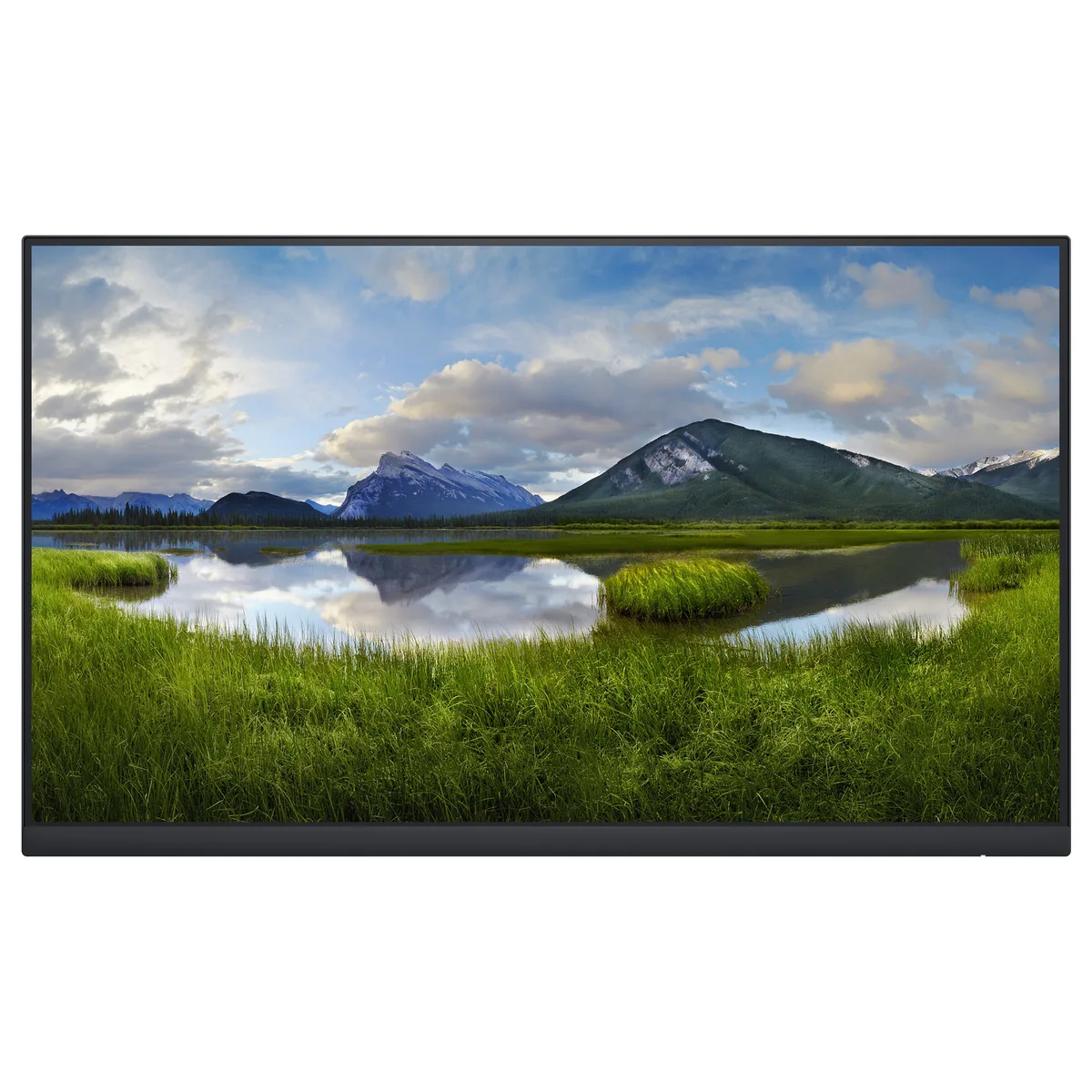 P Series P2422H_WOST computer monitor by Dell – cover