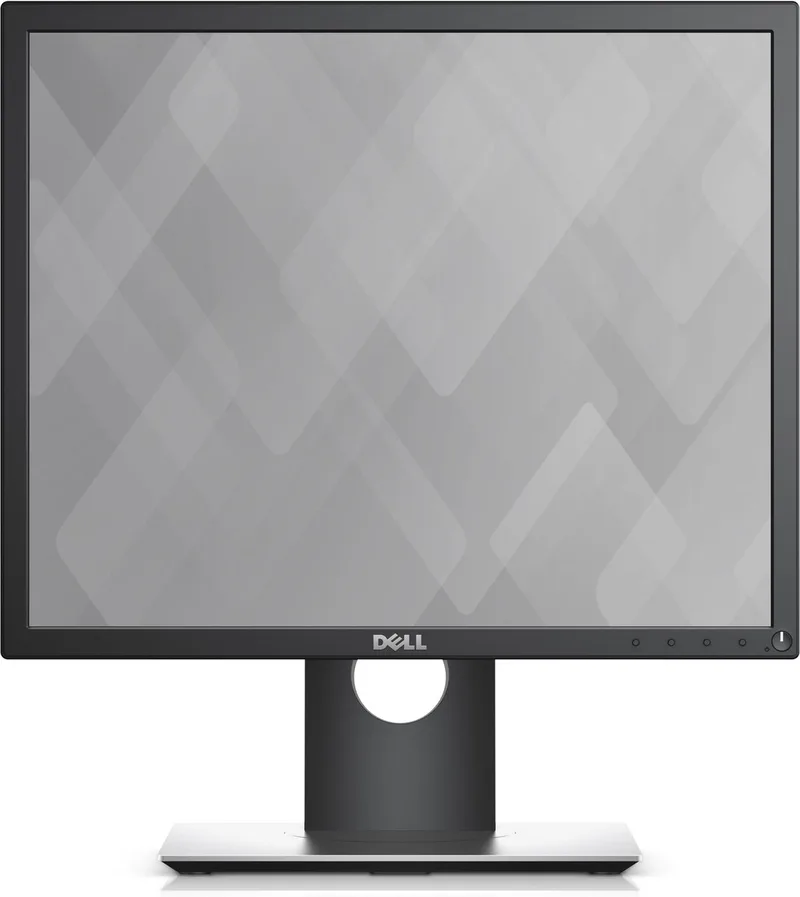 P1917S - HD Monitor van Dell – cover