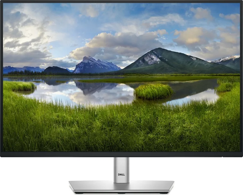 Pro Plus Serie - Monitor - 24.07" - IPS - 100Hz van Dell, Zwart – cover
