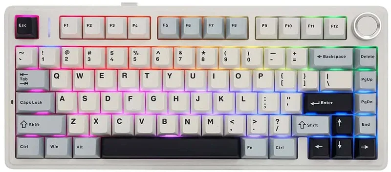 F75 LEOBOG Reaper Switch RGB Draadloos Hotswap Mechanisch Gaming Toetsenbord van EPOMAKER, Lichtblauw – cover