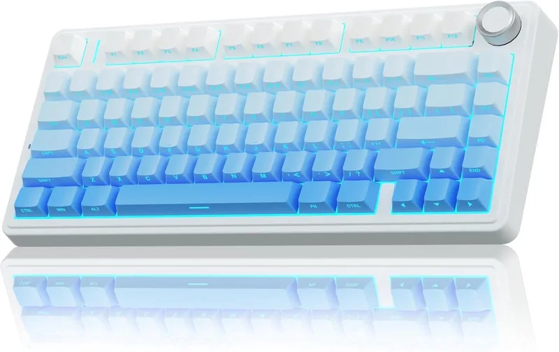 x AULA F75 - Side Printed - Mechanisch Draadloos Toetsenbord - RGB - 75% - QWERTY - Gaming Keyboard - Reaper Switch van EPOMAKER, Blauw, US – cover