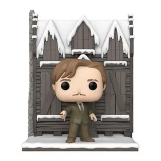 Harry Potter Funko Pop Deluxe Vinyl: Shrieking Shack with Lupin by Funko – cover 2 of 2