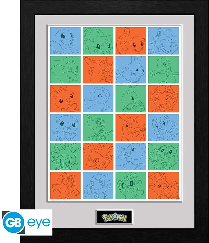 Pokemon Framed Print - First Partner Grid van GB Eye – cover
