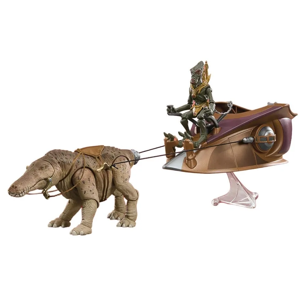 Star Wars Vintage Orray & Geonosian Picador van Hasbro – cover