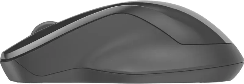 HP 250 - Draadloze Muis - Bluetooth by HP, Black – cover 2 of 2