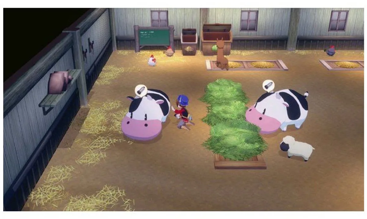 Story Of Seasons: Grand Bazaar de Just for Games, PS5 – jaquette