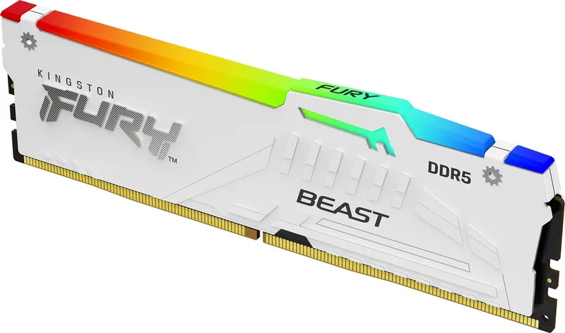 16GB DDR5-5600MT/s CL36 DIMM FURY Beast by Kingston – cover