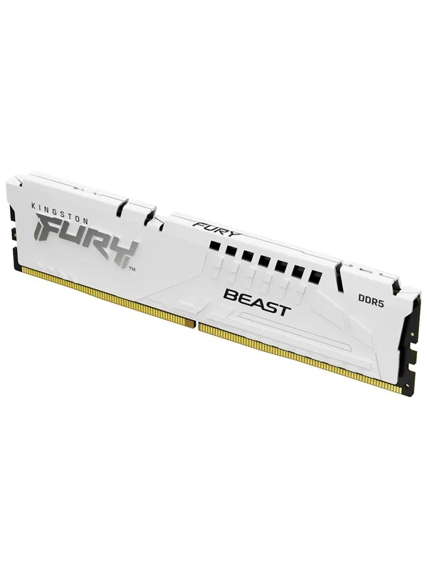 Beast DDR5-5600 - 16GB - CL36 - Single Channel (1 pcs) - AMD EXPO & Intel XMP by Kingston – cover