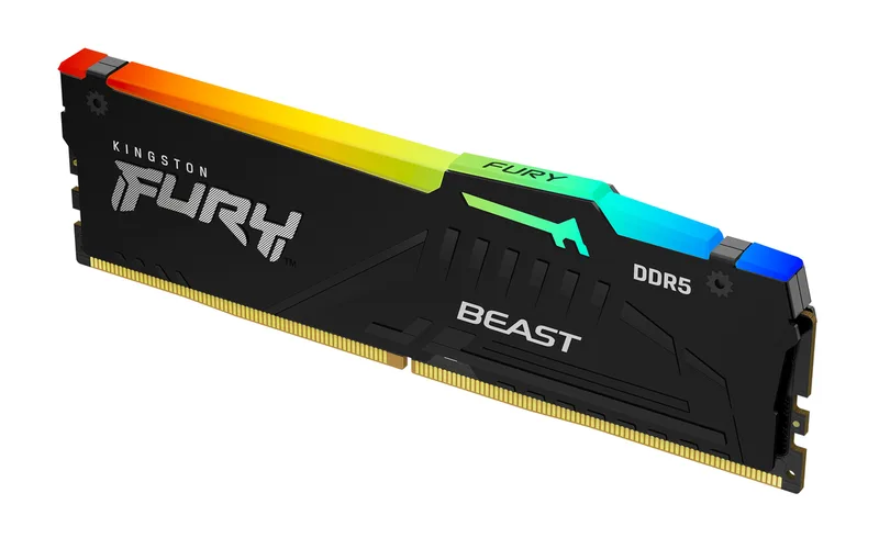 Beast RGB - DDR5 by Kingston – cover