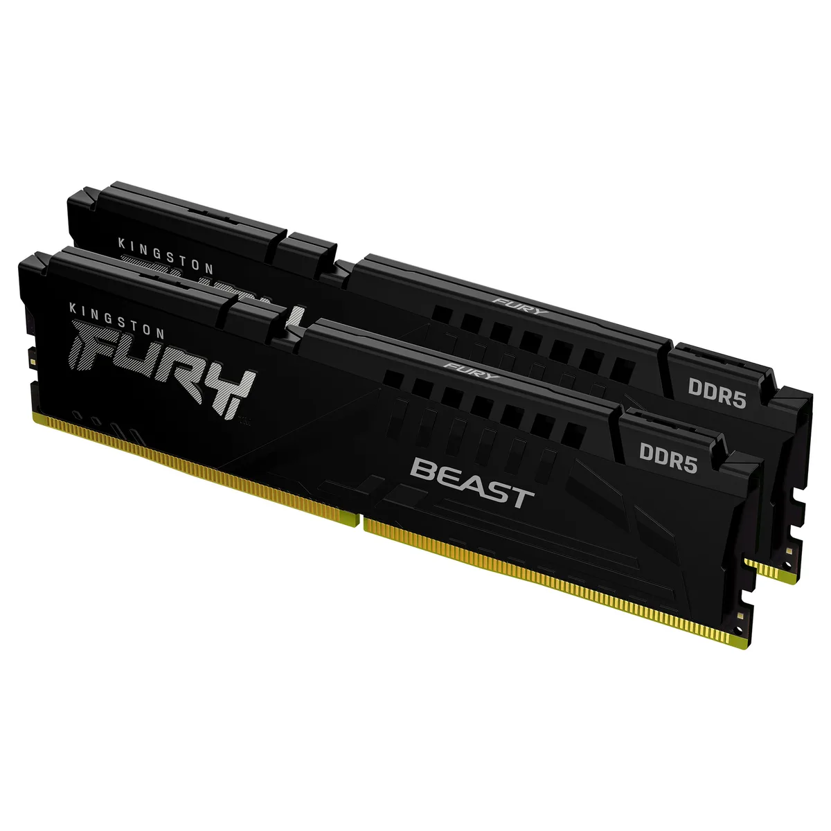 FURY Beast memory module de Kingston – jaquette