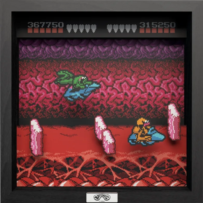 Pixel Frame - Battletoads - NES Turbo Tunnel (23cm x 23cm) van Level Up Labs – cover