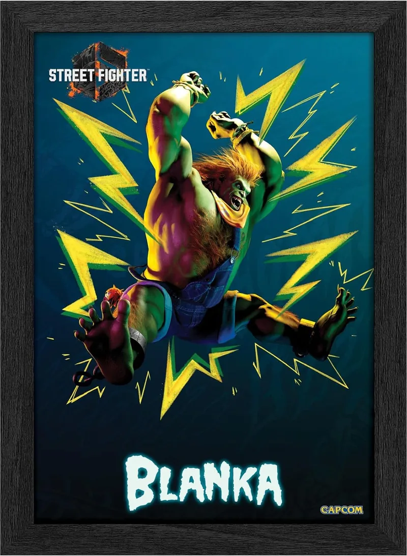 Pixel Frames Plax - Street Fighter 6: Blanka (25cm x 30cm) van Level Up Labs – cover