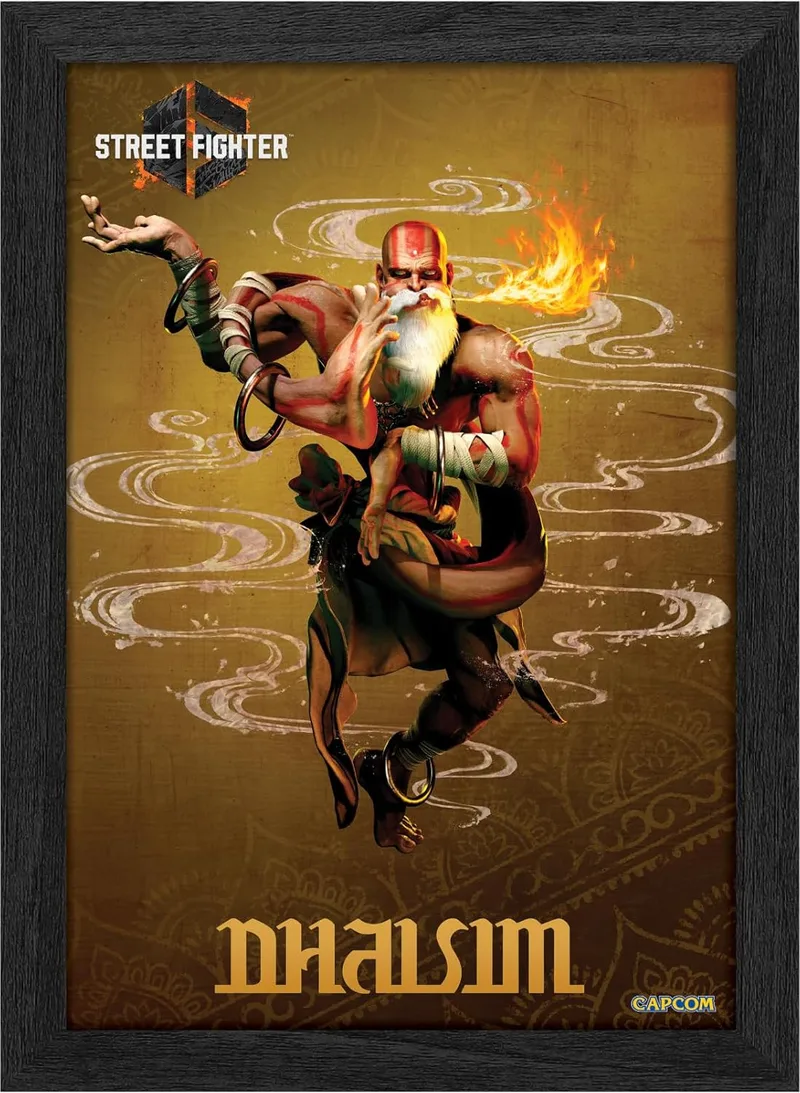 Pixel Frames Plax - Street Fighter 6: Dhalsim (25cm x 30cm) by Level Up Labs – cover