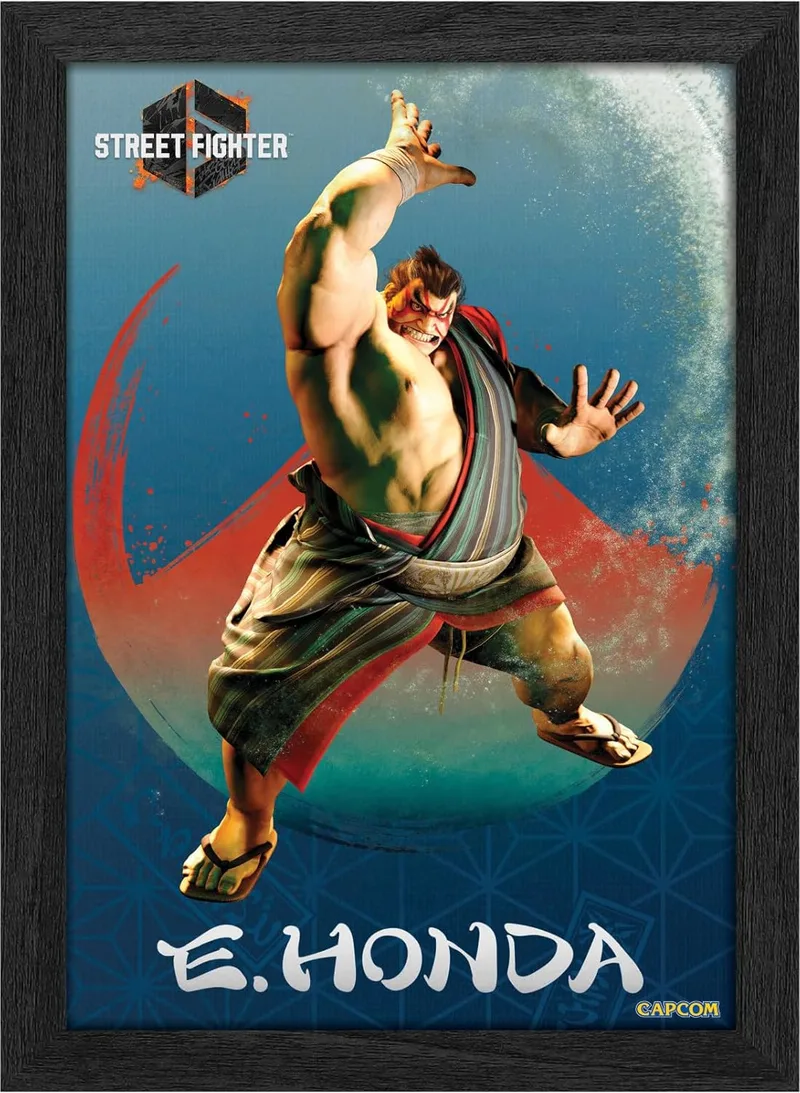 Pixel Frames Plax - Street Fighter 6: E. Honda (25cm x 30cm) van Level Up Labs – cover