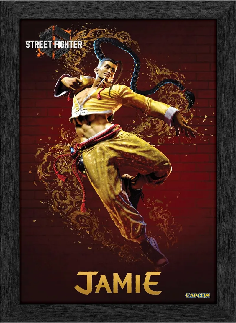 Pixel Frames Plax - Street Fighter 6: Jamie (25cm x 30cm) van Level Up Labs – cover