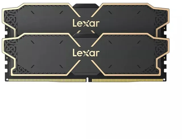 LD5U08G60C38LG-RGD geheugenmodule 16 GB 2 x 8 GB DDR5 288-pin DIMM