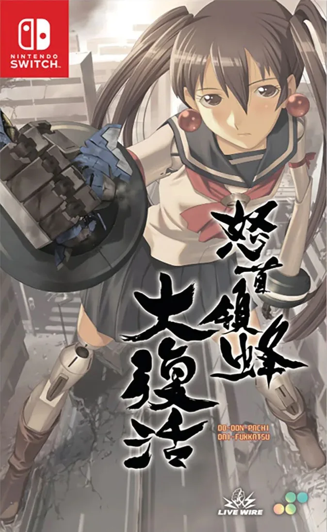 Dodonpachi Daifukkatsu van Limited Run Games, Nintendo Switch – cover