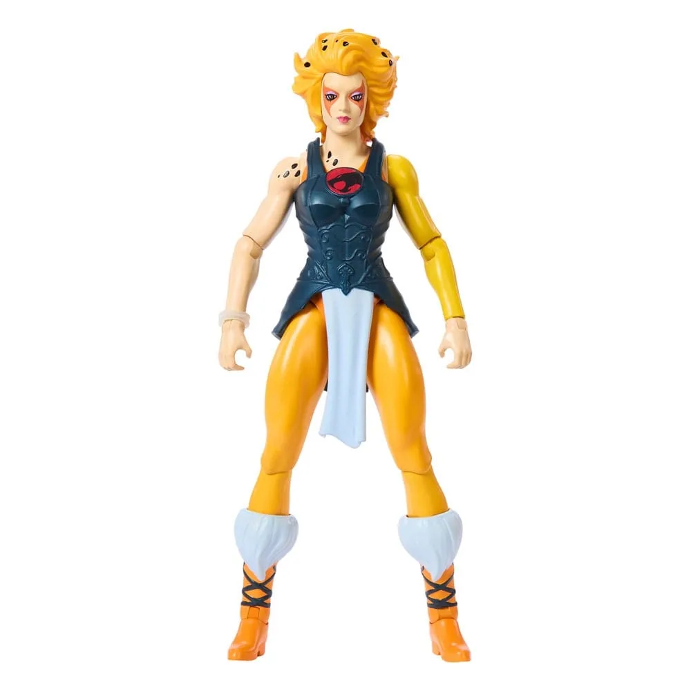 MOTU x Thundercats Cheetara van Mattel – cover