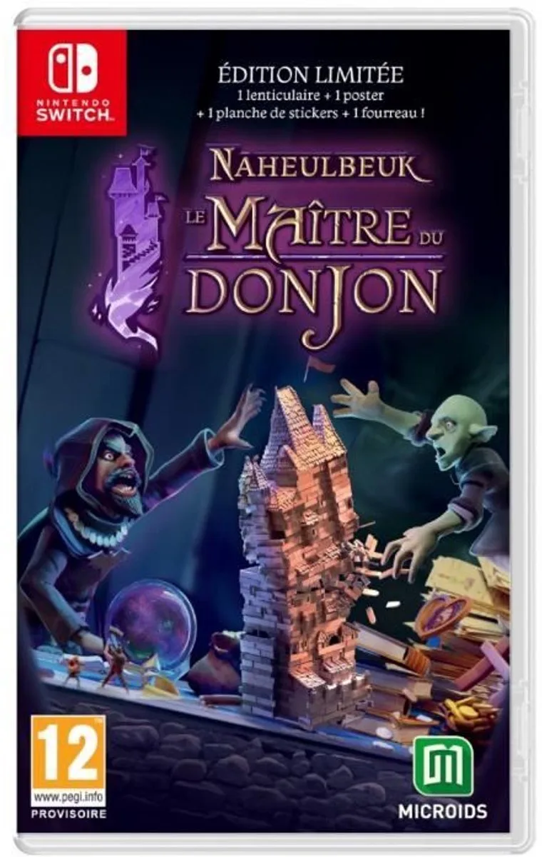 The Dungeon Master of Naheulbeuk - Nintendo Switch-spel - Limited Edition by Microids, Nintendo Switch – cover