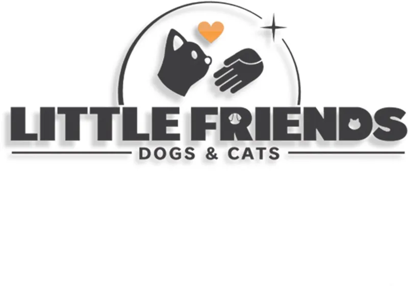 Little Friends Dogs and Cats van Mindscape, Nintendo Switch – cover