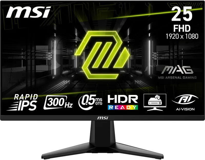 MAG 255XF - Full HD Gaming Monitor - Rapid IPS - 300Hz - 24.5 Inch van MSI – cover