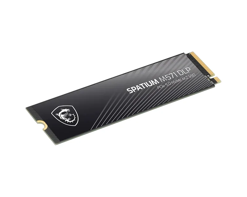 SSD 4TB MSI Spatium M571 (M.2 2280) PCIe Gen5 x4 NVMe van MSI – cover
