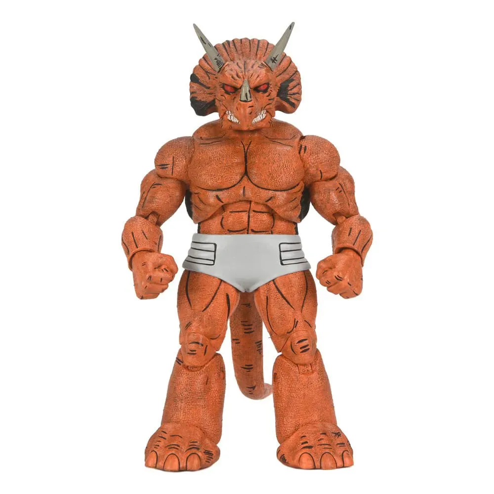 Teenage Mutant Ninja Turtles Figuur van NECA – cover