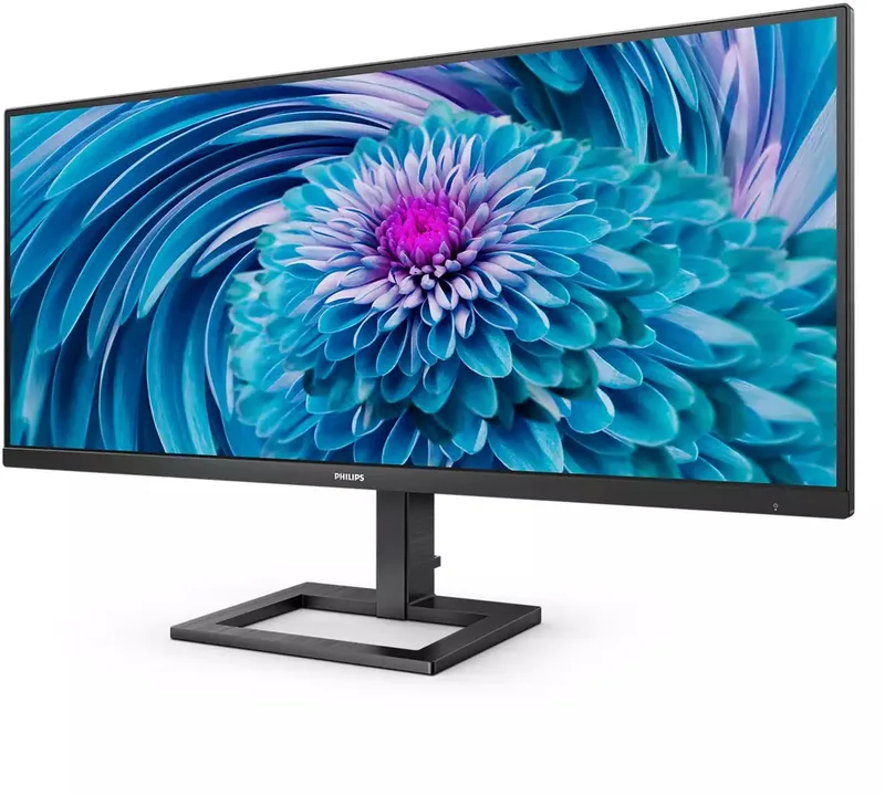 E Line 346E2LAE/00 - Wide Quad HD LCD - 100hz - 34 Inch van Philips – cover