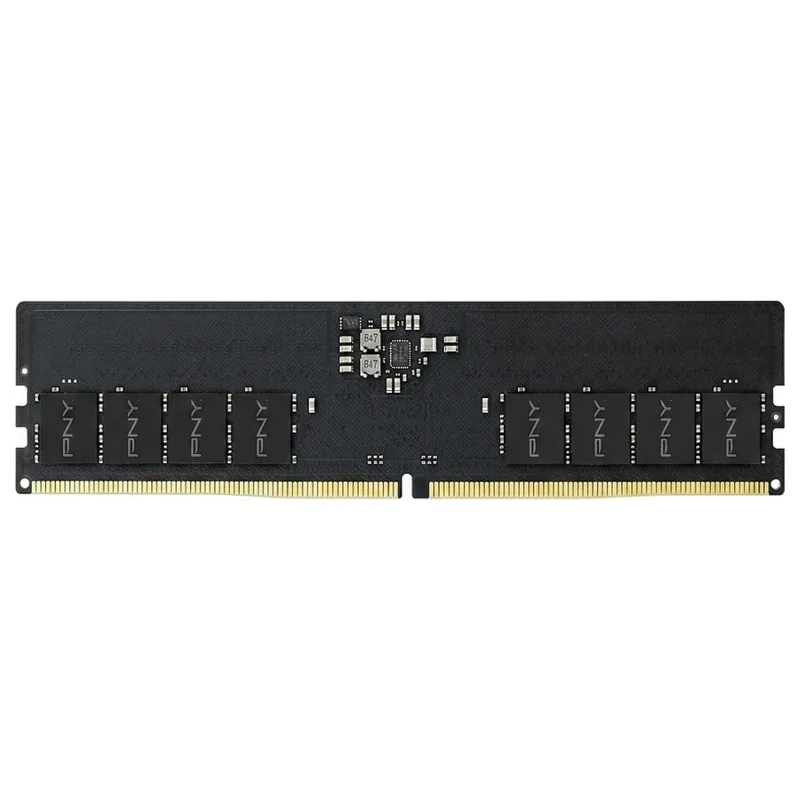 16GB PNY DIMM Performance 5600MHz (black) van PNY – cover