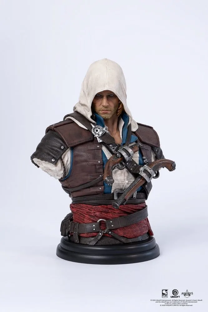 Assassin's Creed Black Flag - Edward Kenway van Pure Arts – cover