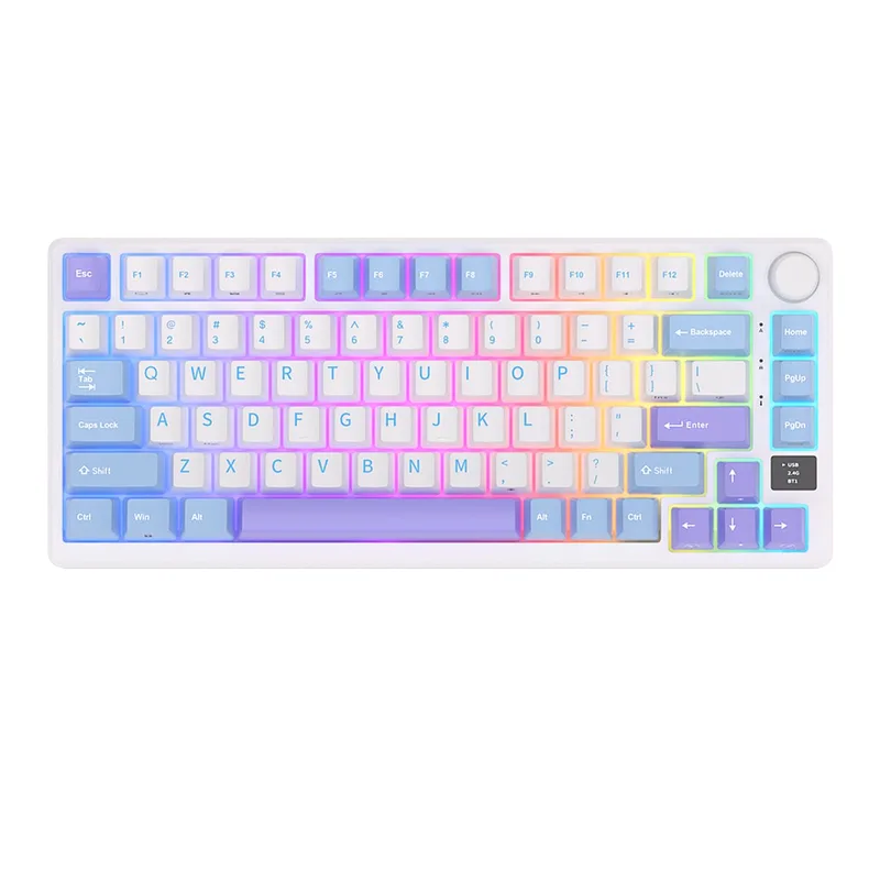RKM75 - Mechanisch Gaming Toetsenbord - Gaming Keyboard - Draadloos - Met Display - RGB - Silver Switches van Royal Kludge, Paars – cover