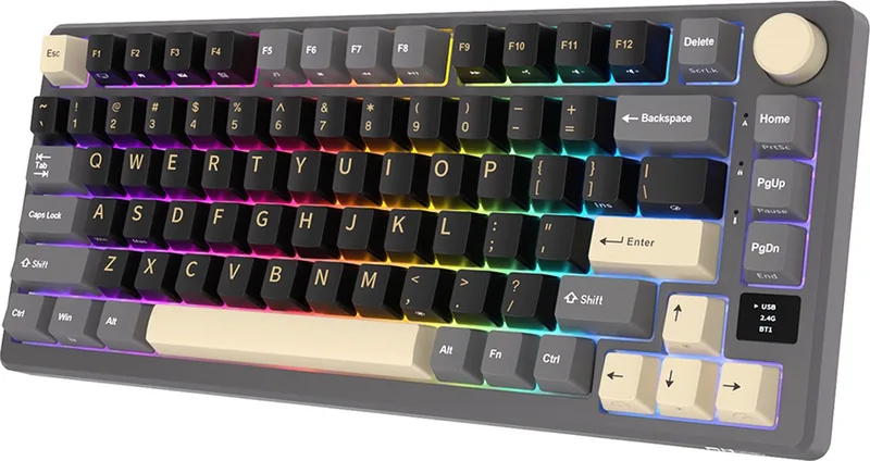 RKM75 - Mechanisch Gaming Toetsenbord - Gaming Keyboard - Draadloos - Met Display - RGB - Silver Switches de Royal Kludge, Gris – jaquette