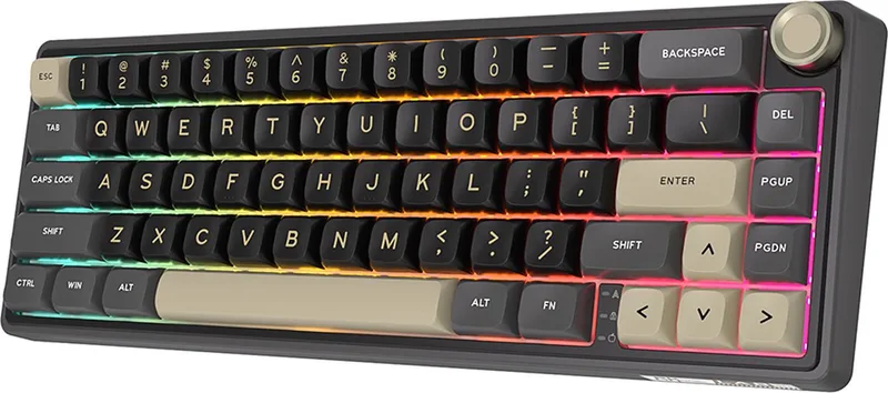 RKR65 - RGB Mechanisch Gaming Toetsenbord - Foam Touch - Hot Swappable Switch - Phantom - Blue Switches - Inclusief Stofkap by Royal Kludge, Grey – cover