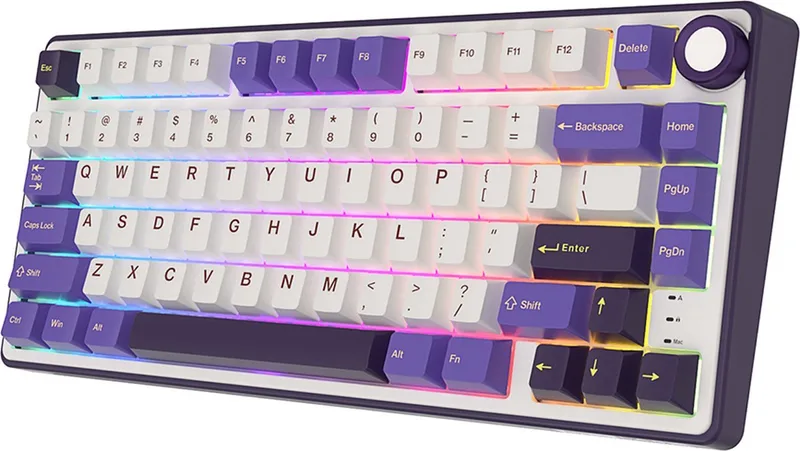 RKR75 - RGB Mechanisch Gaming Toetsenbord - Foam Touch - Hot Swappable Switch - Blackberry - Blue Switches - Inclusief Stofkap by Royal Kludge, Purple – cover