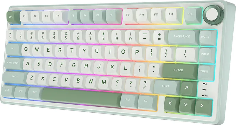RKR75 - RGB Mechanisch Gaming Toetsenbord - Foam Touch - Sky Cyan - USB - Hot Swappable Switch - Silver Switches - Inclusief Stofkap de Royal Kludge, Vert – jaquette