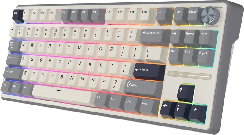 RKR87 Pro - Gaming Toetsenbord - Mechanisch - Keyboard - Gaming - RGB van Royal Kludge, Wit – cover