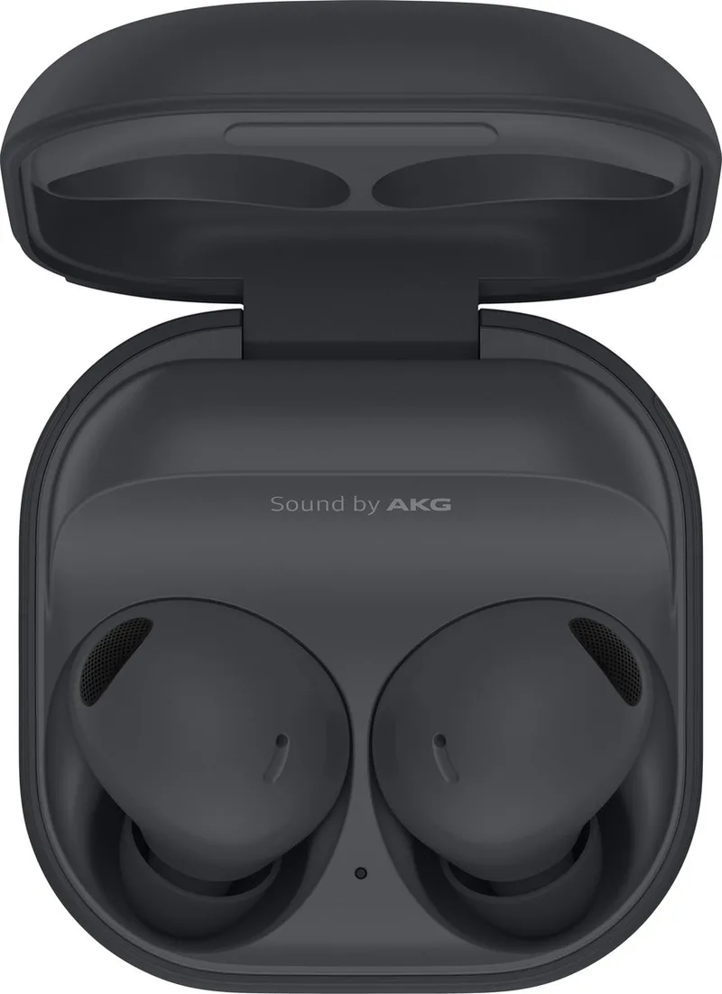 Galaxy Buds 2 Pro - Draadloze oordopjes met Noise Cancelling - Gray de Samsung, Gris – jaquette