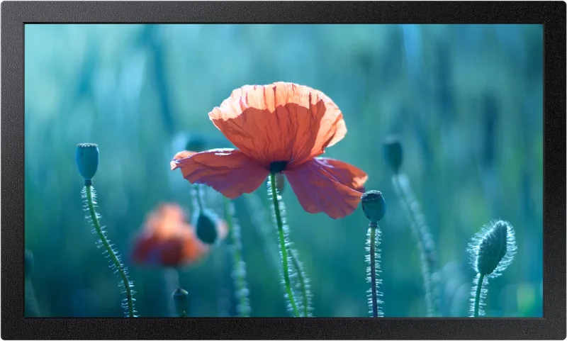 Samsung 13 Full HD Small Display QB13C van Samsung, Zwart – cover