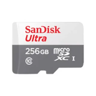 Ultra MicroSDXC - Flashgeheugenkaart by SanDisk, 256 GB – cover 2 of 2
